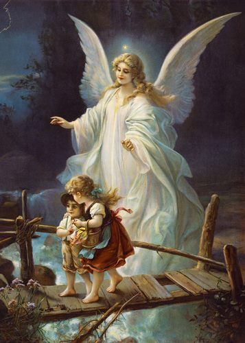 🕊️ Proteção